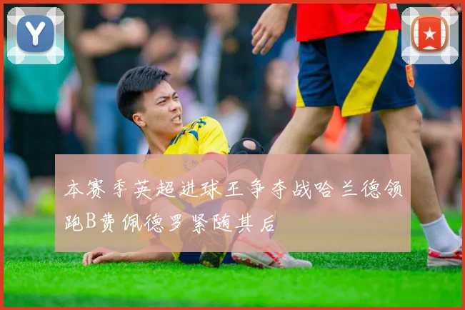 本赛季英超进球王争夺战哈兰德领跑B费佩德罗紧随其后