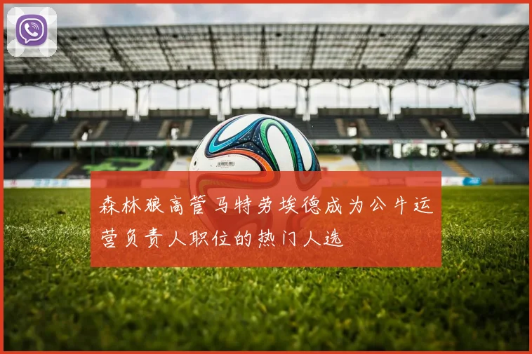 森林狼高管马特劳埃德成为公牛运营负责人职位的热门人选