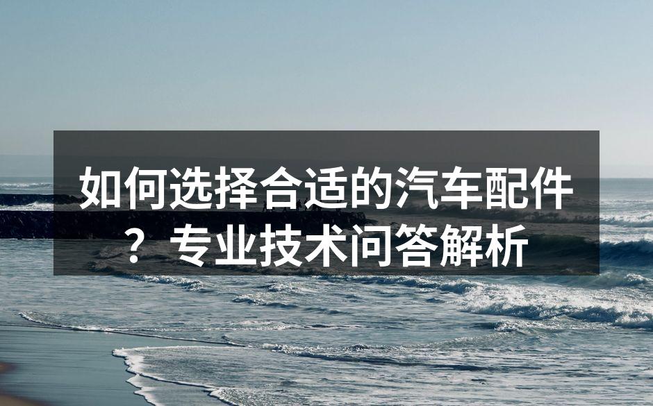 专业汽车配件展示