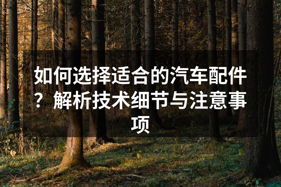 选择合适汽车配件的指导