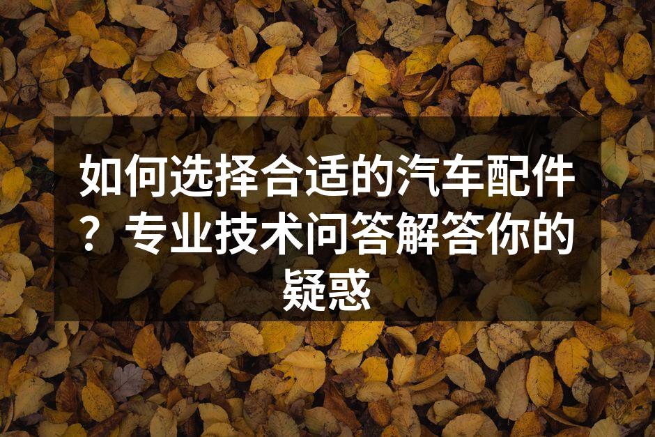 汽车配件选择指南